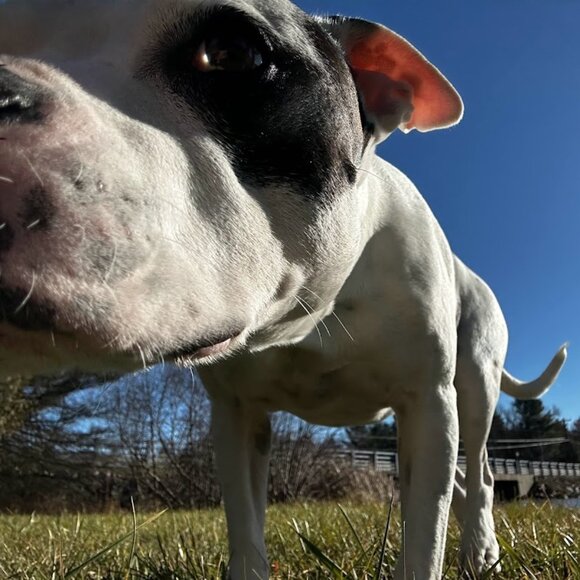 Meet your Posher, Adrianne! - Picture 10 of 16